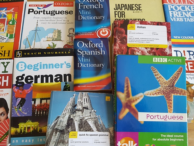 Sprachen lernen